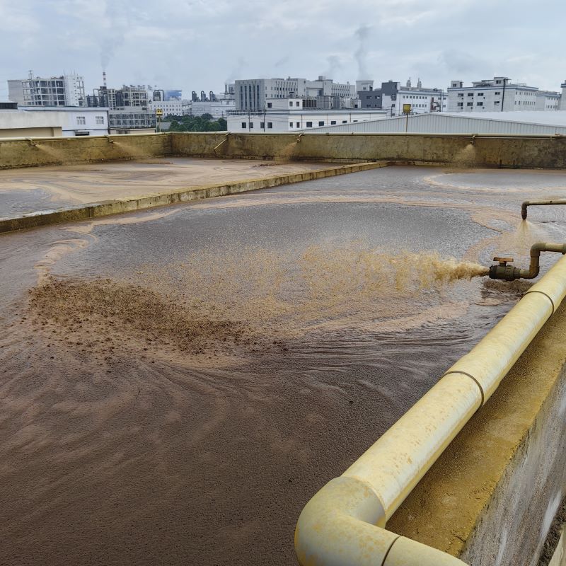 制药厂污水储存池现场取样